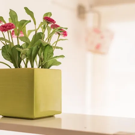 Guestready - Siza Garden Reborn *